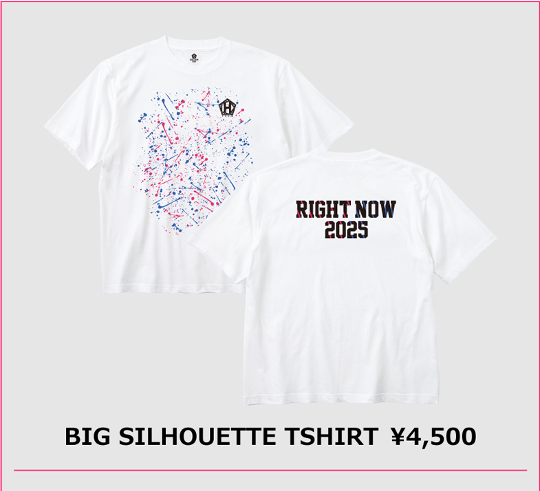 BIG SILHOUETTE T SHIRT 4,500円
