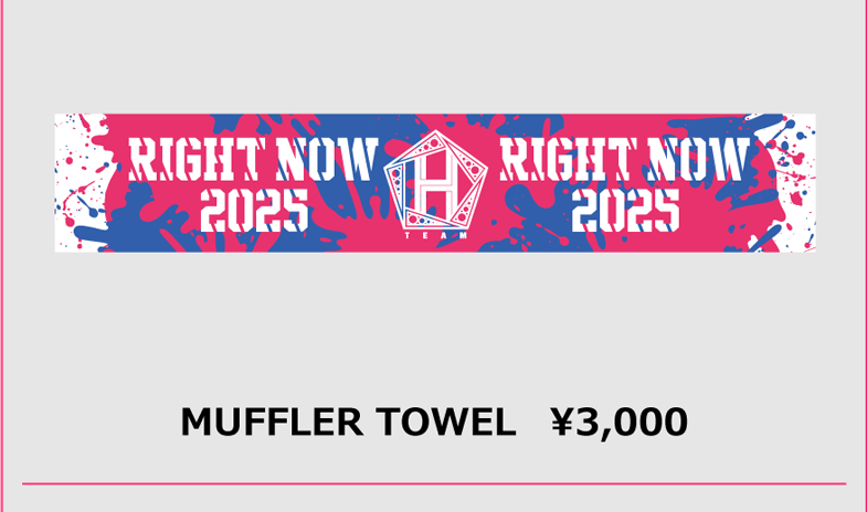 MUFFLER TOWEL 3,000円