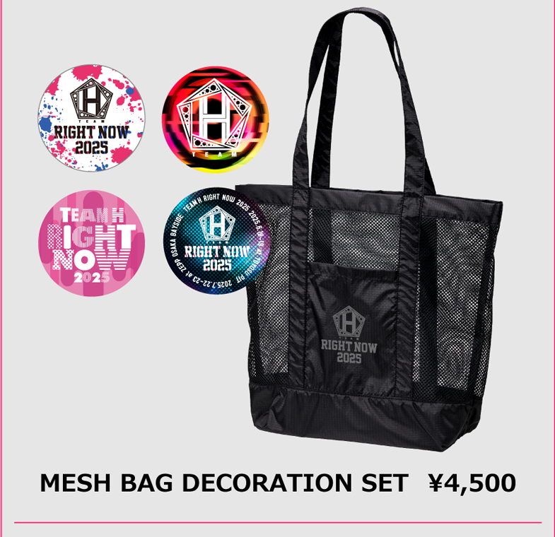 MESH BAG DECORATION SET 4,500円