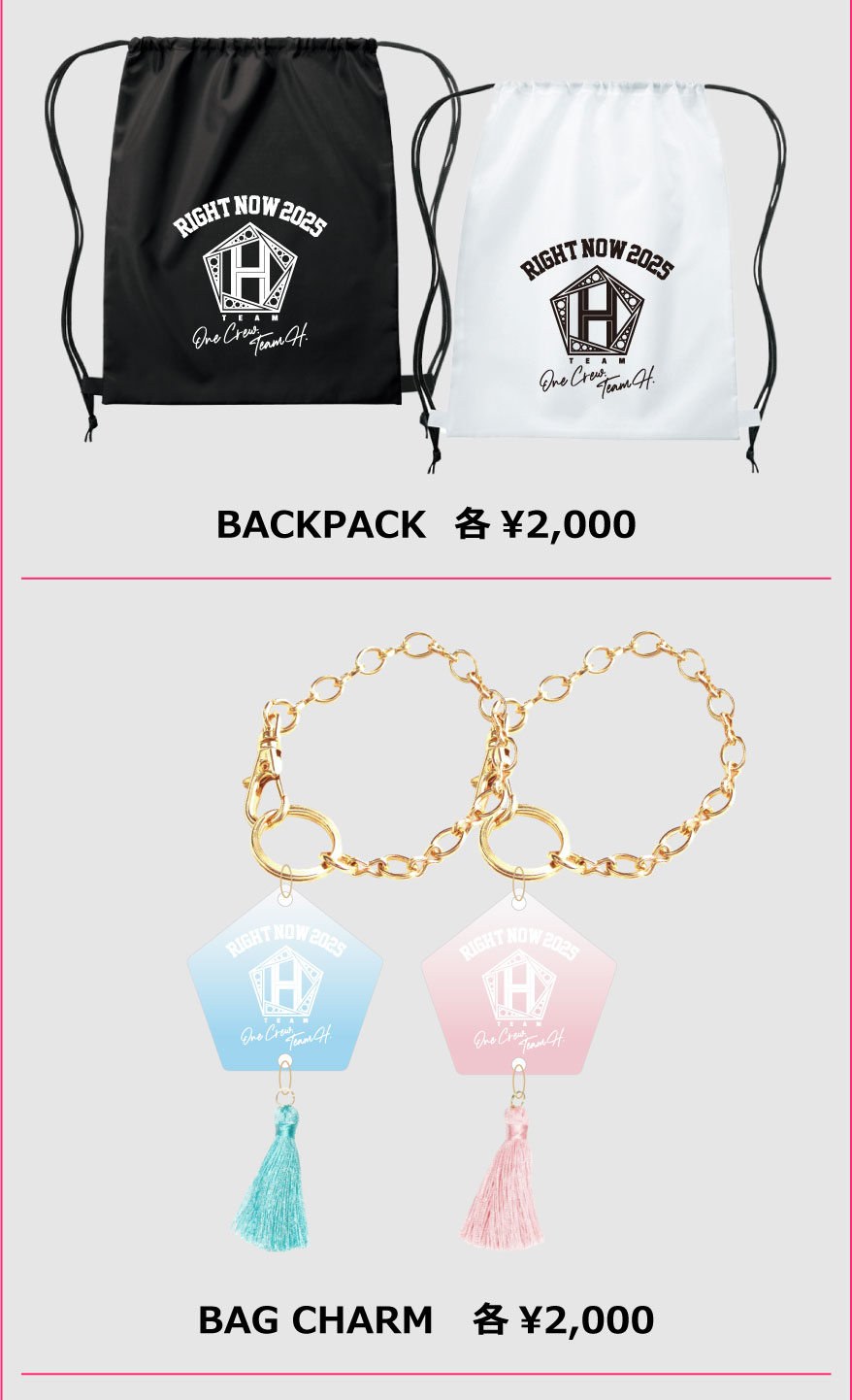 Collect de zikzin チャン・グンソク Team H サマーバッグ Collect de zikzin チャン・グンソク Team H サマーバッグ