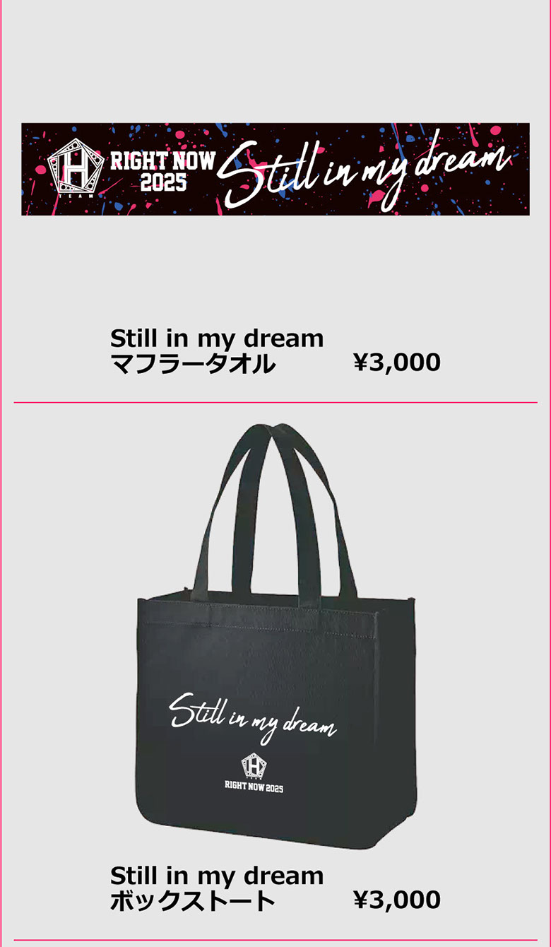 [Still in my dream マフラータオル　3000円][Still in my dream ボックストート 3000円]